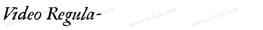 Video Regula字体转换